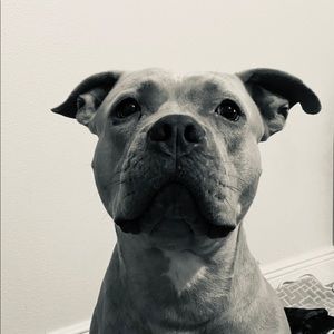 Meet your Posher, Celina